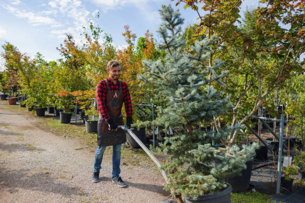 Best Weed Control  in Danbury, TX